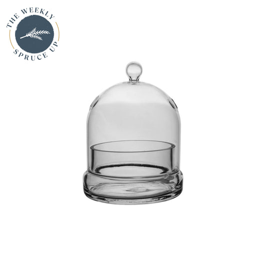 Glass Cloche