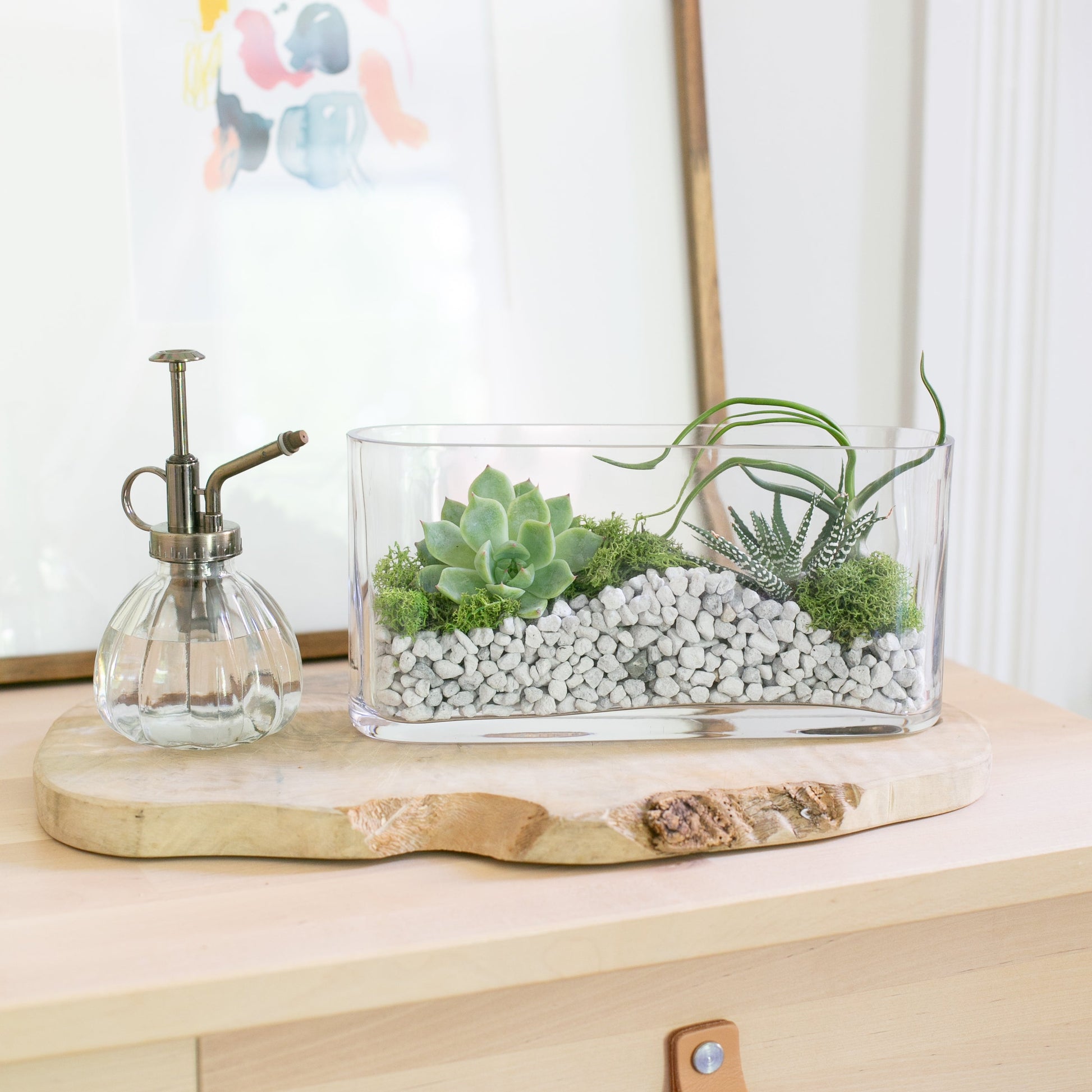 mister for succulents Plant Mister
