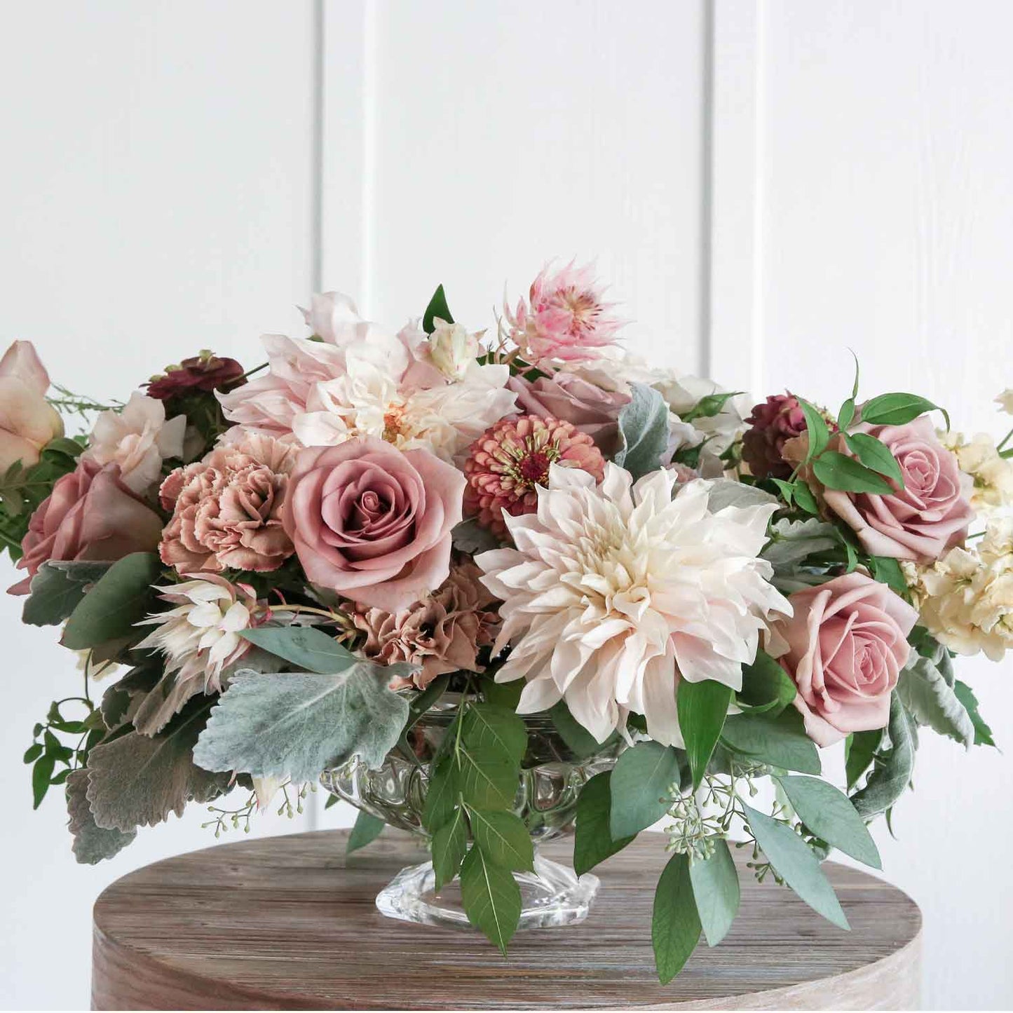 Holly Chapple Abelia Compote