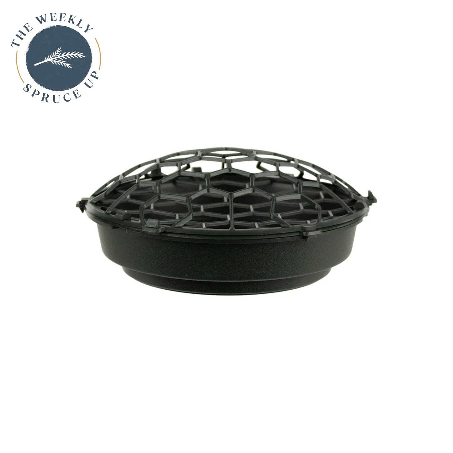 Holly Chapple FoamFree™ Dish