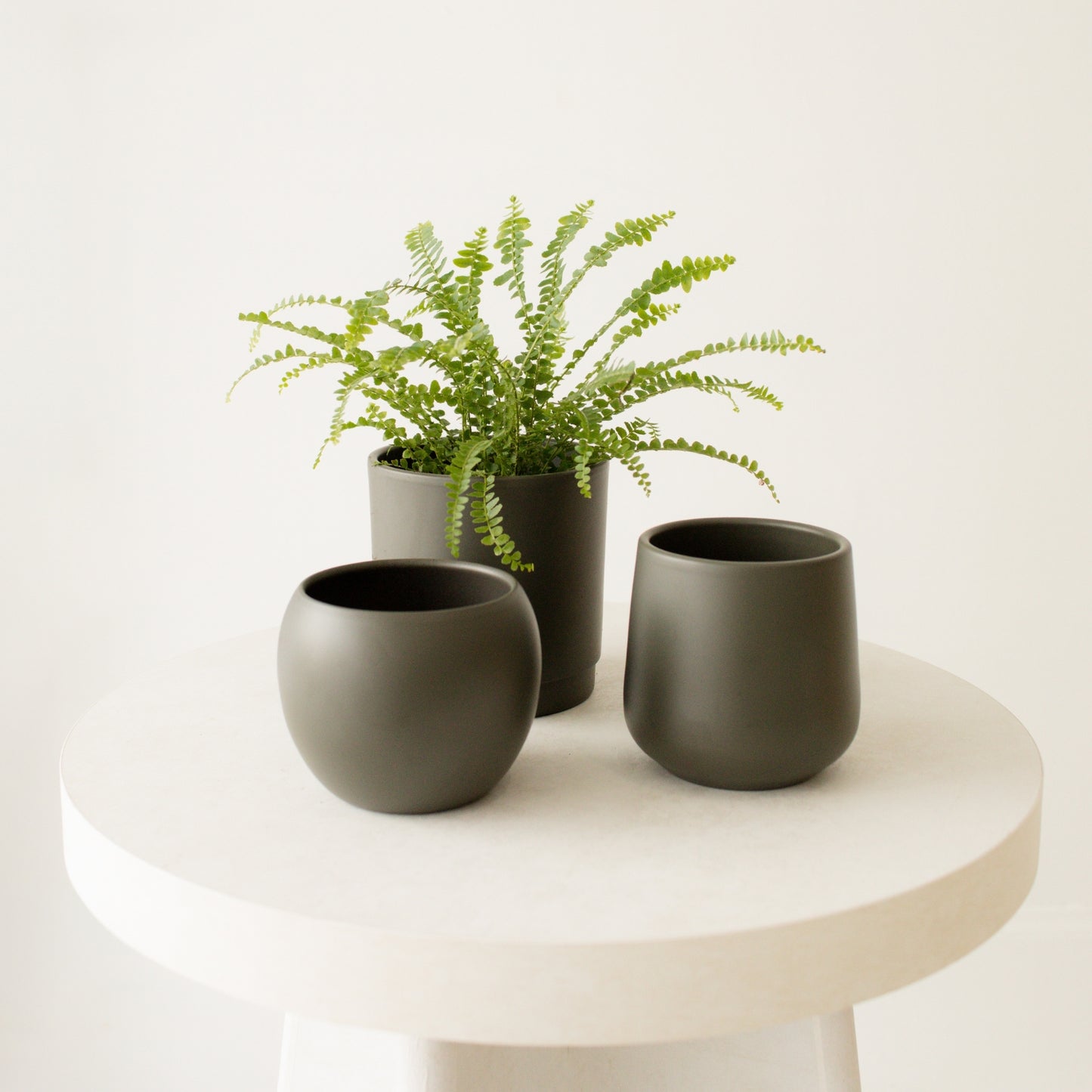 Phoenix Planter - Cabana Collection