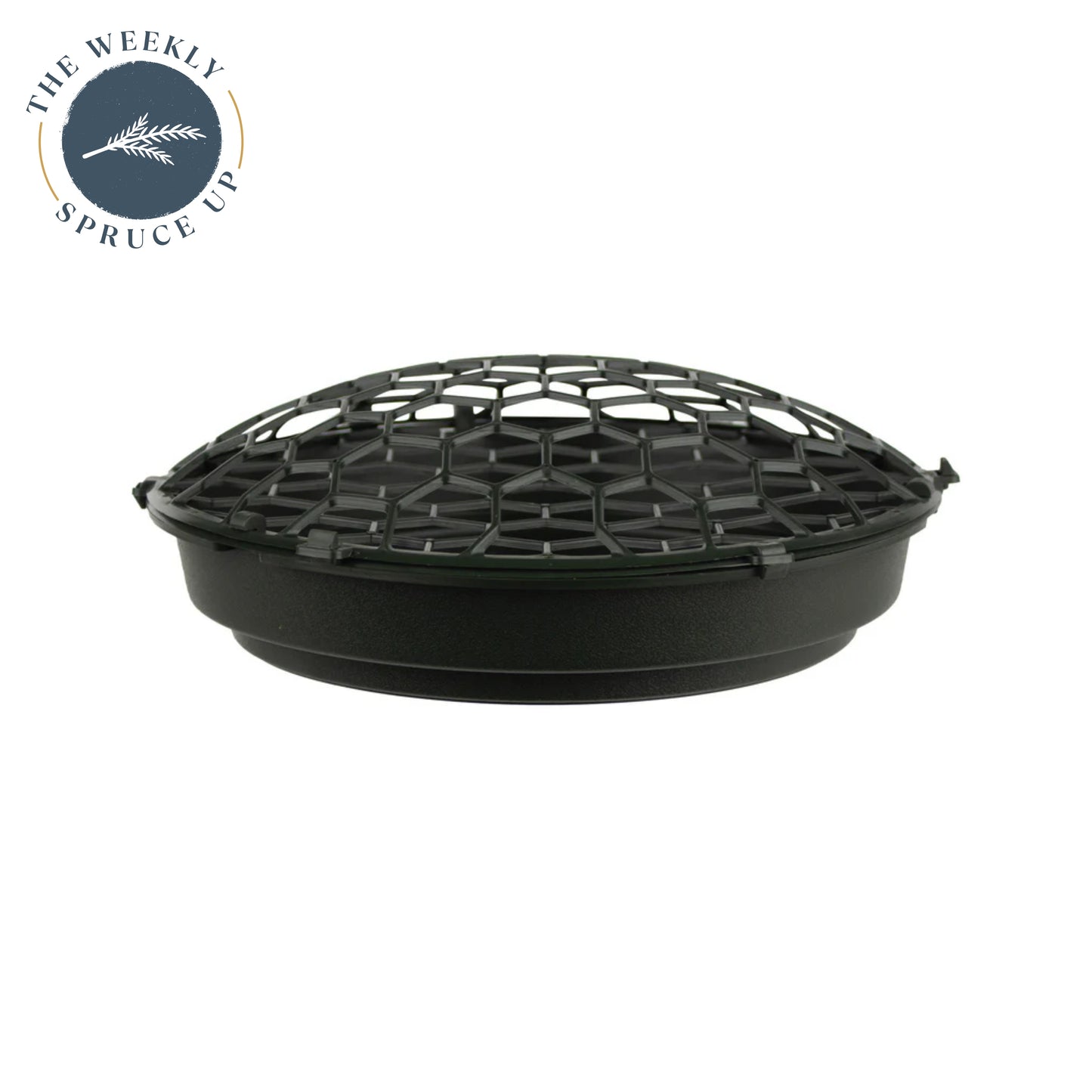 Holly Chapple FoamFree™ Dish