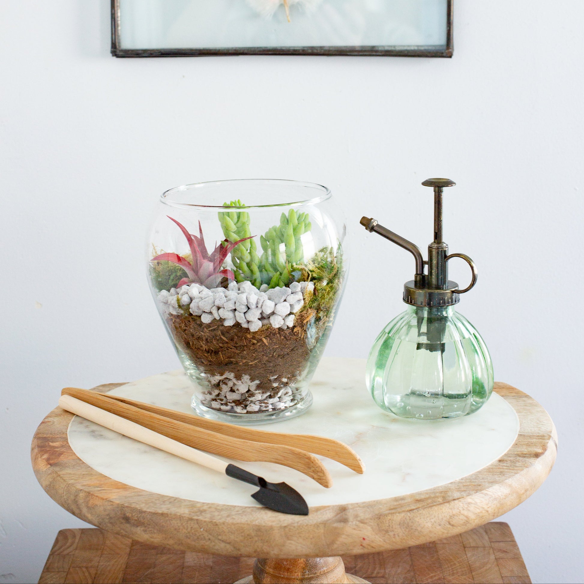 mister for succulents Plant Mister