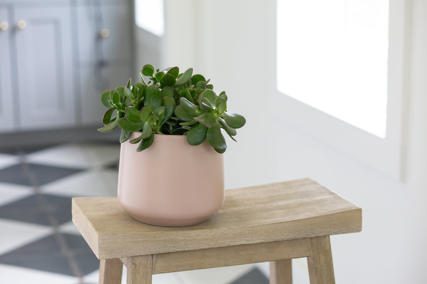 Atlanta Planter - Reverie Collection