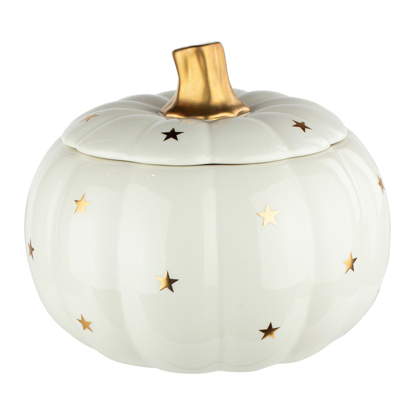 6 7/8" Pumpkin Container w/ Lid & Pick – Matte Black, Stardust, Butterscotch & White