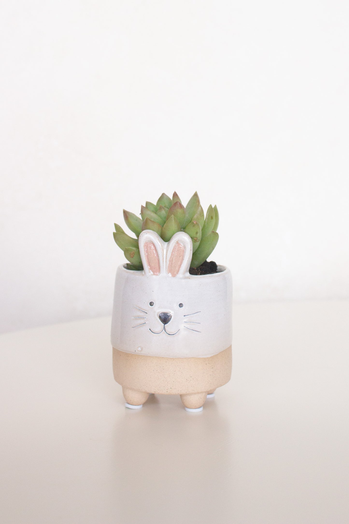 Ceramic Bunny Planter