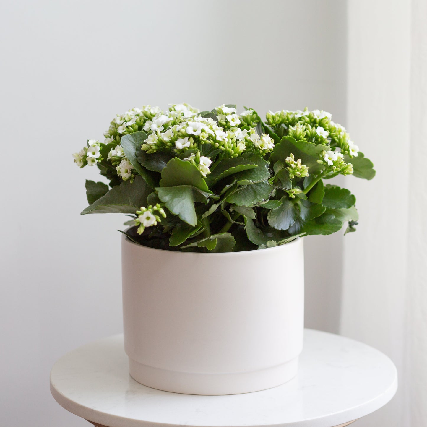 Stepped Planter - Matte White