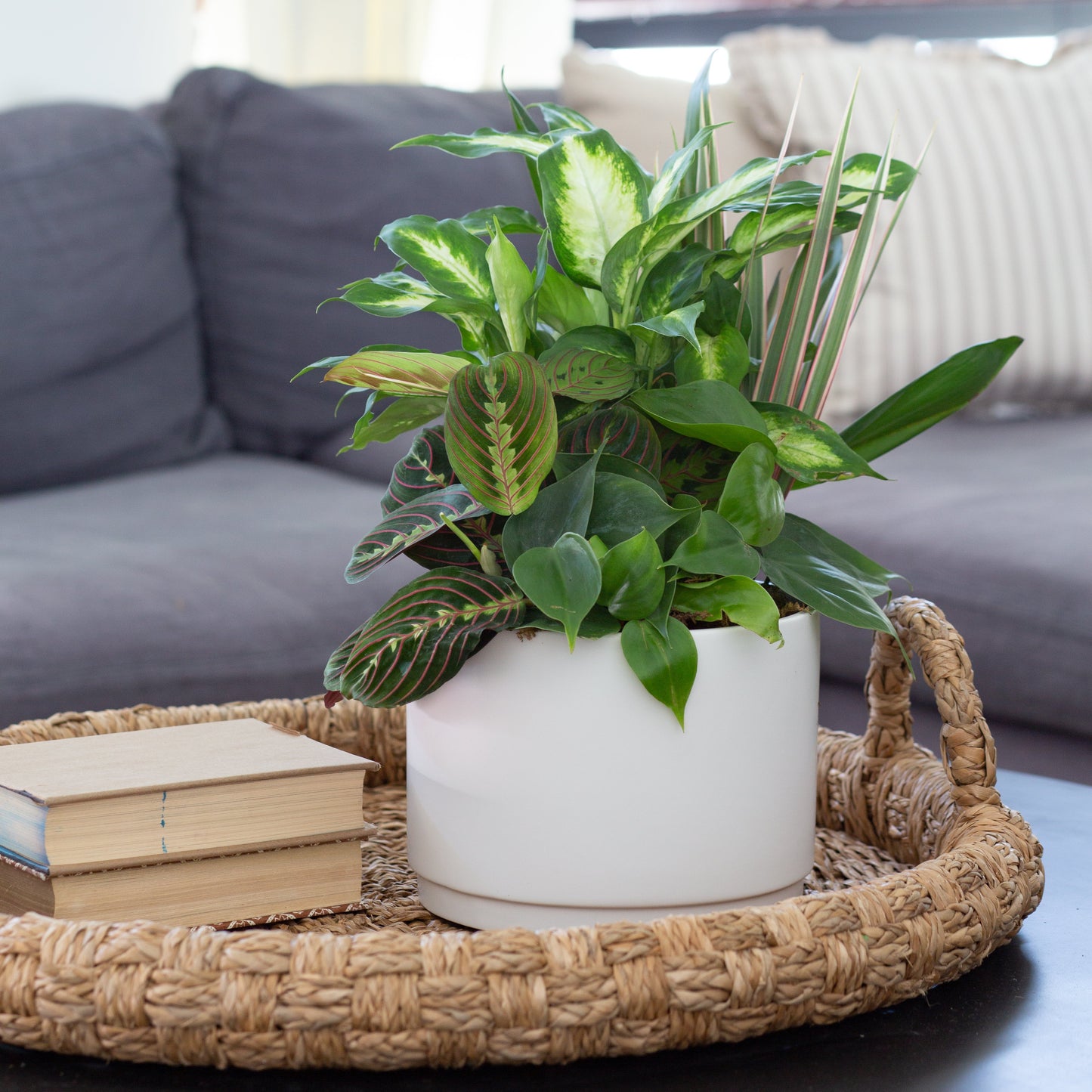 Stepped Planter - Matte White