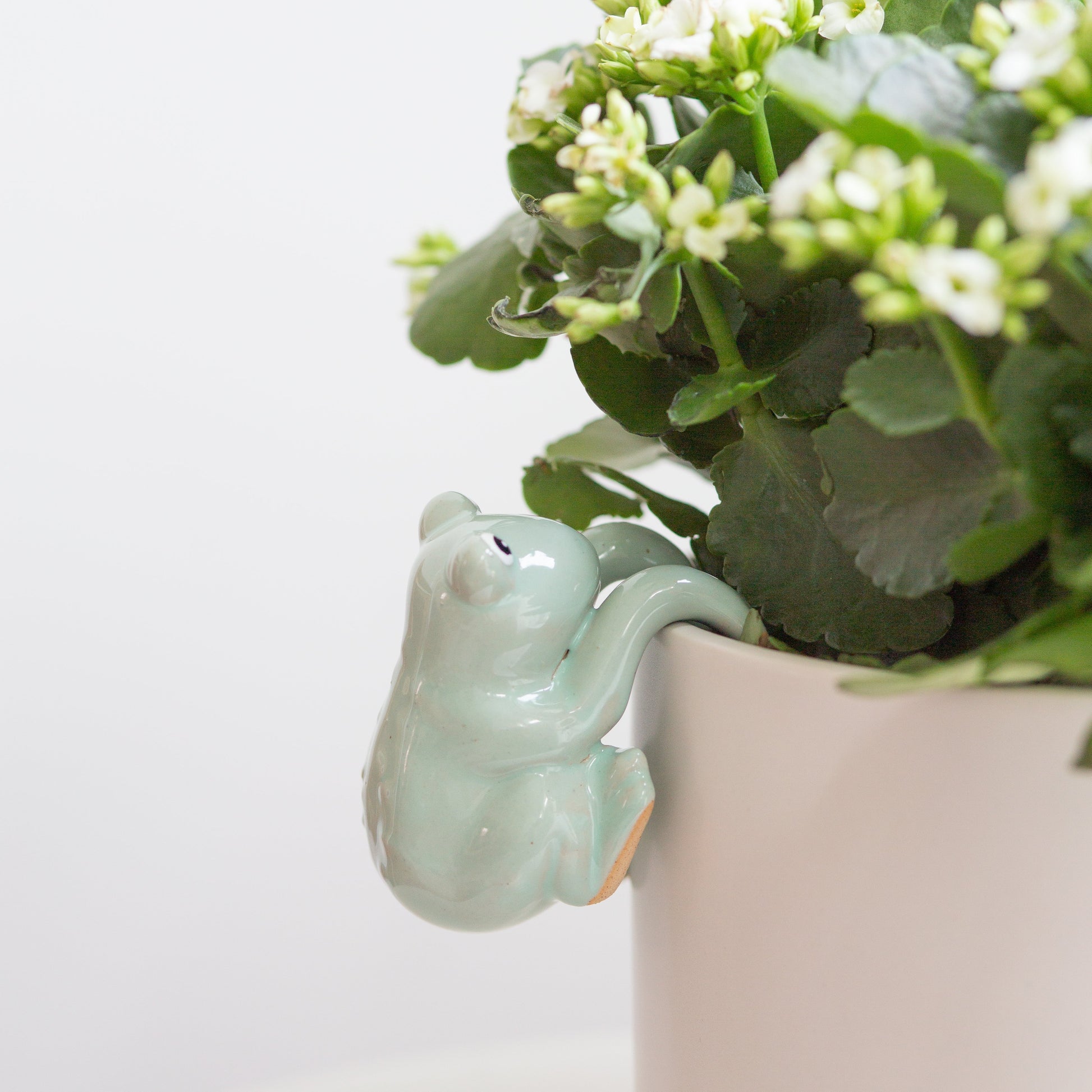 hanging animal planter Mini Hanging Animal Assortment