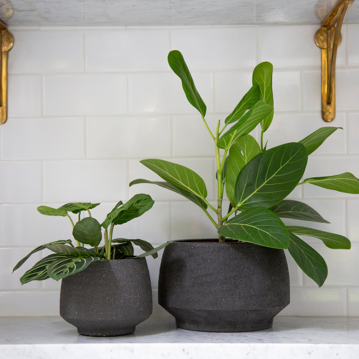 4.5" Tapered Stoneware Pot - Charcoal