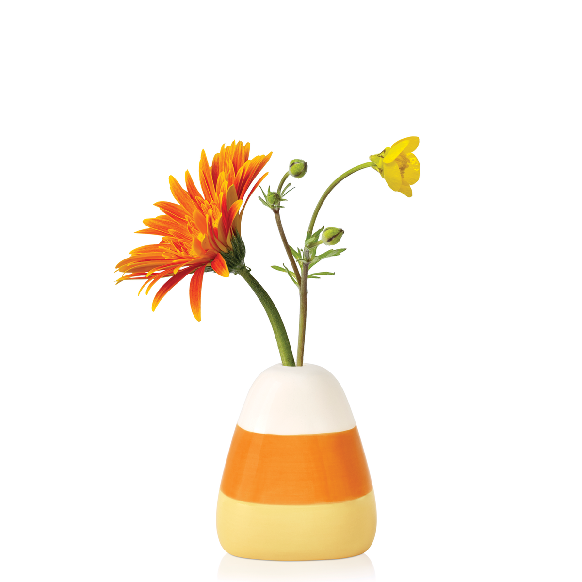 BestBuds Mini Fall Trio