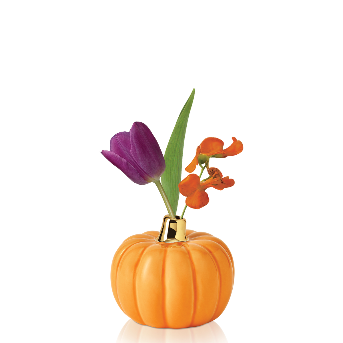 BestBuds Mini Fall Trio