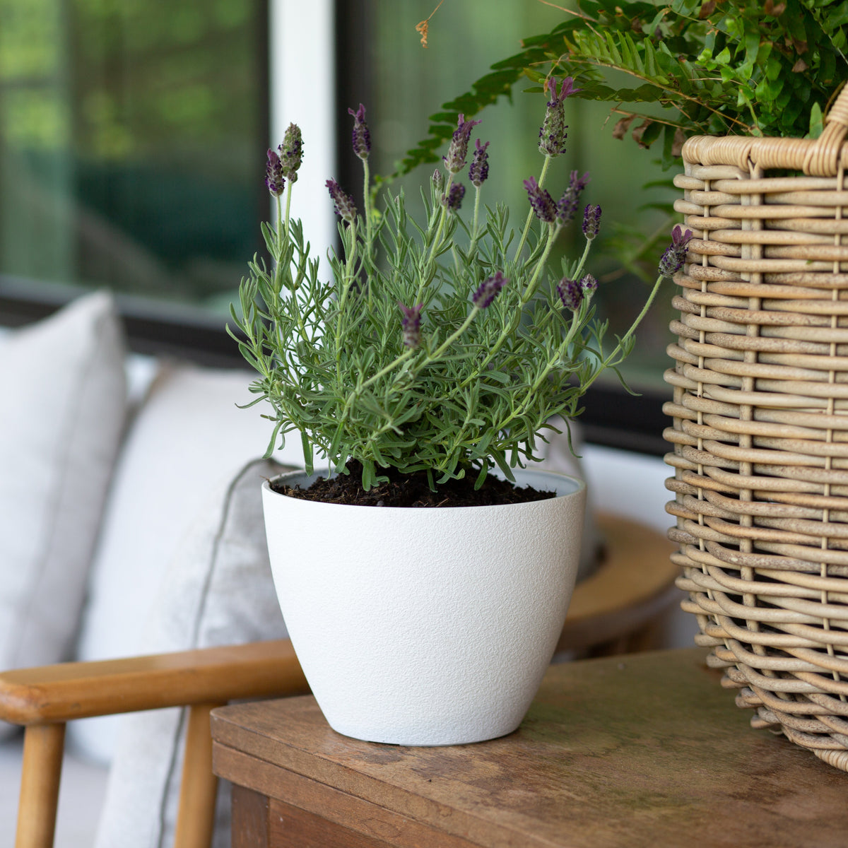 7.5” Promenade Planter
