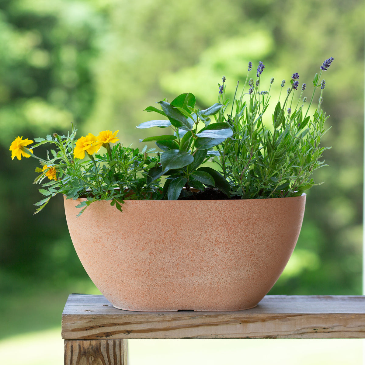 14.25” Promenade Oval Planter