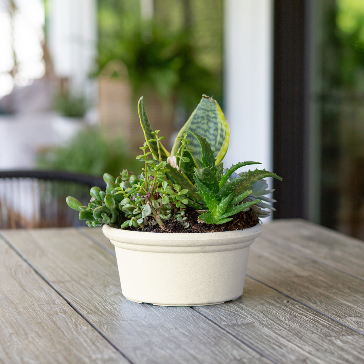 9.75” Courtyard Planter