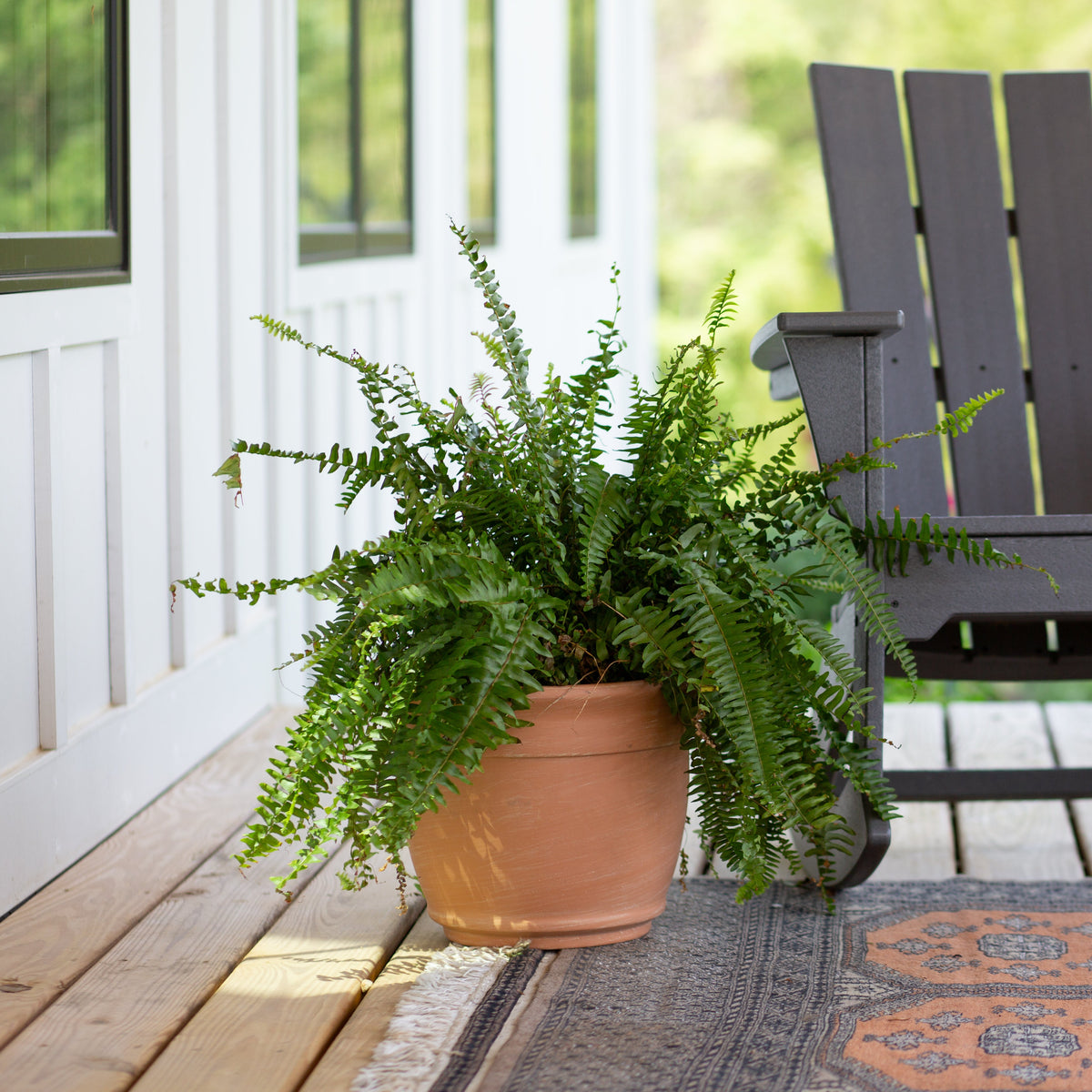 13.25” Terrace Planter