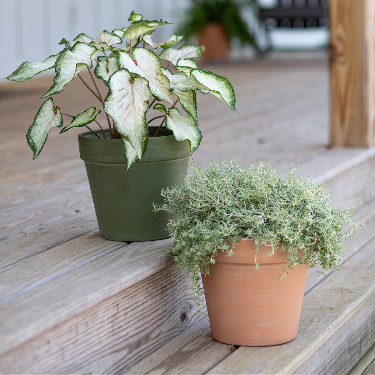 12.25” Patio Planter