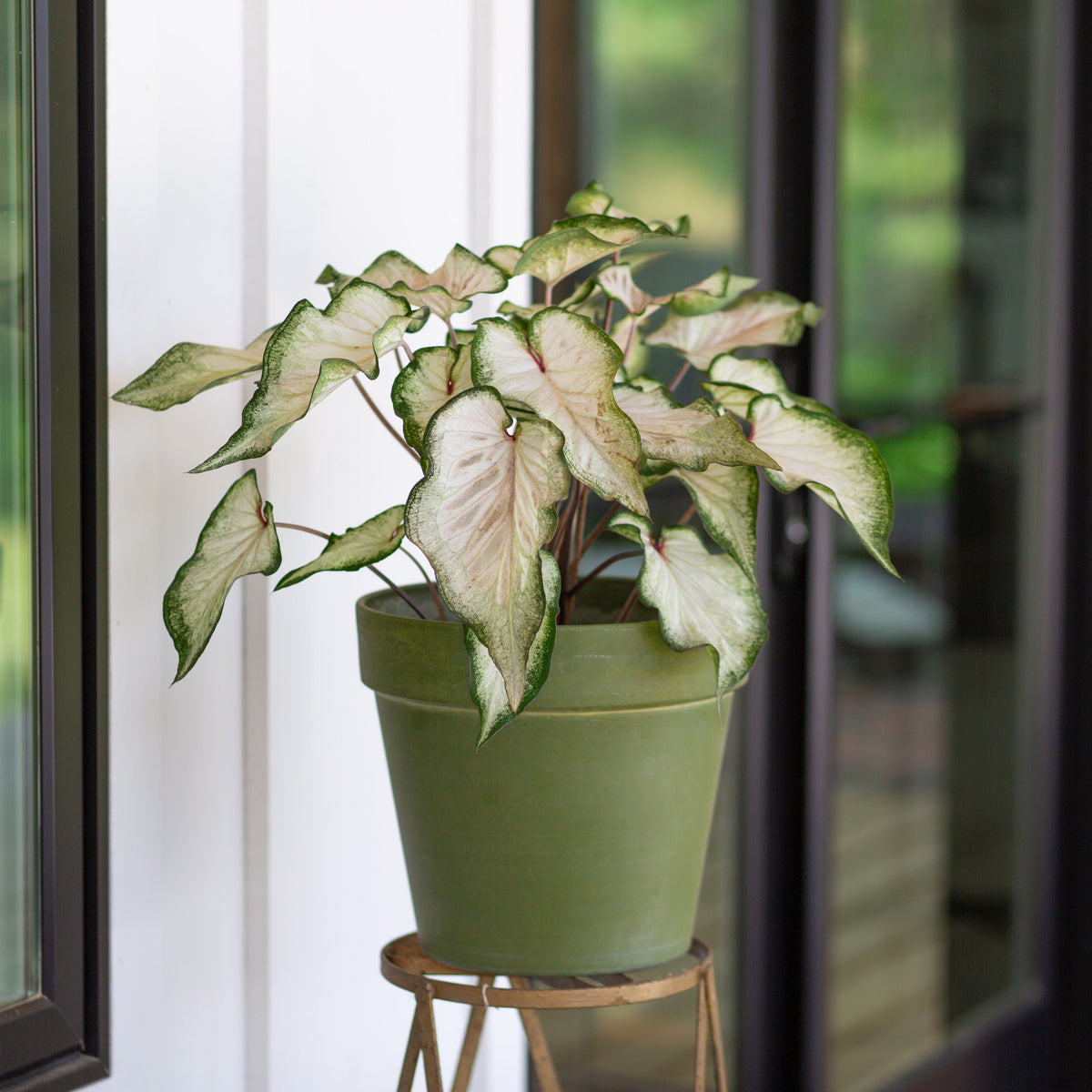 12.25” Patio Planter