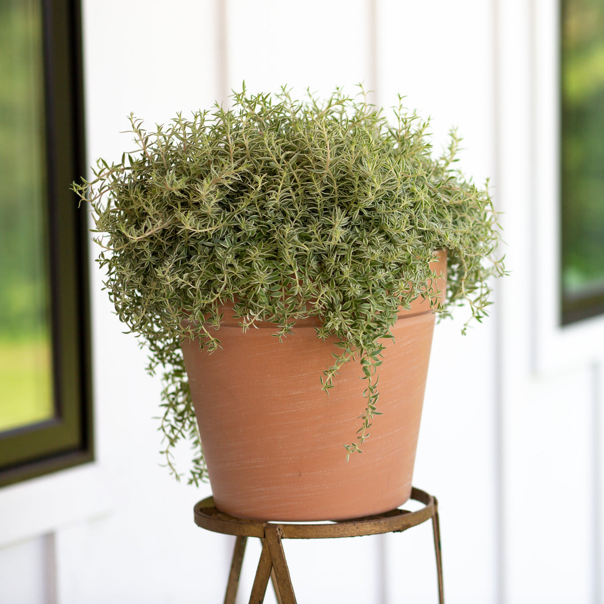 12.25” Patio Planter
