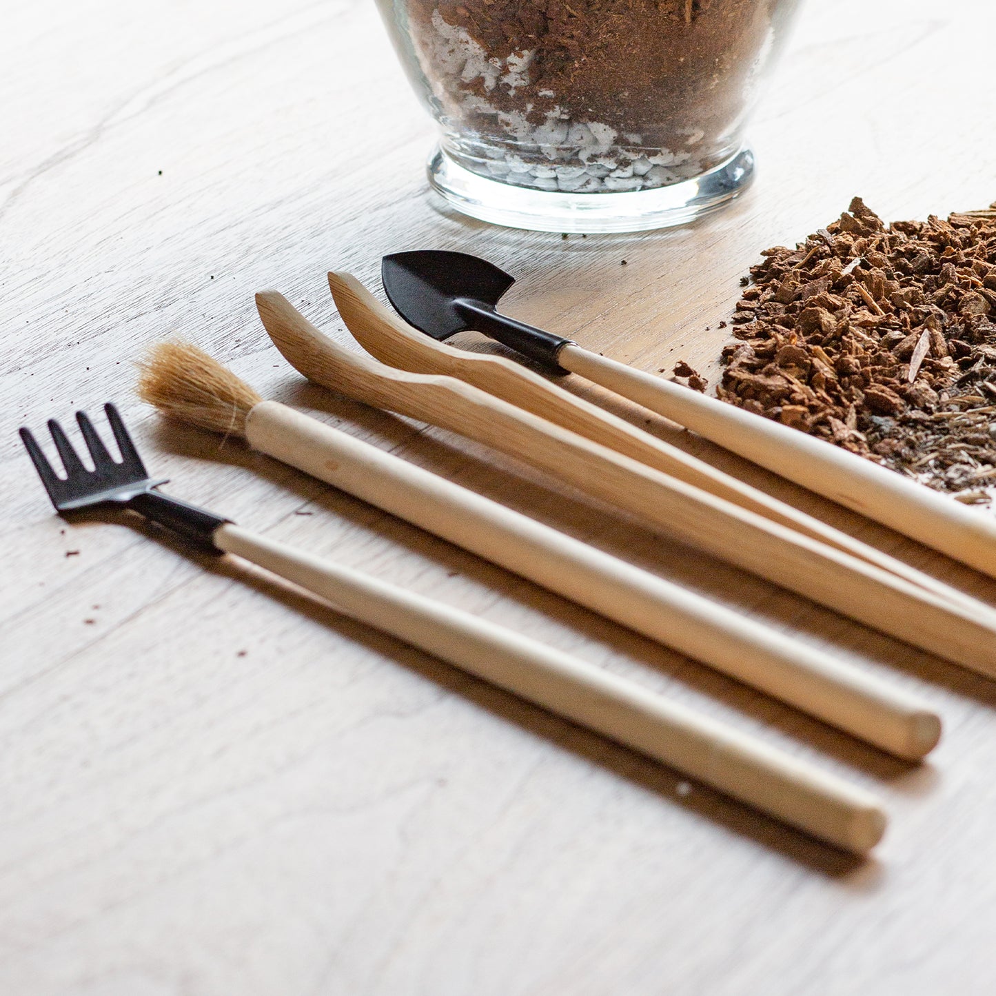 Terrarium Tool Kit