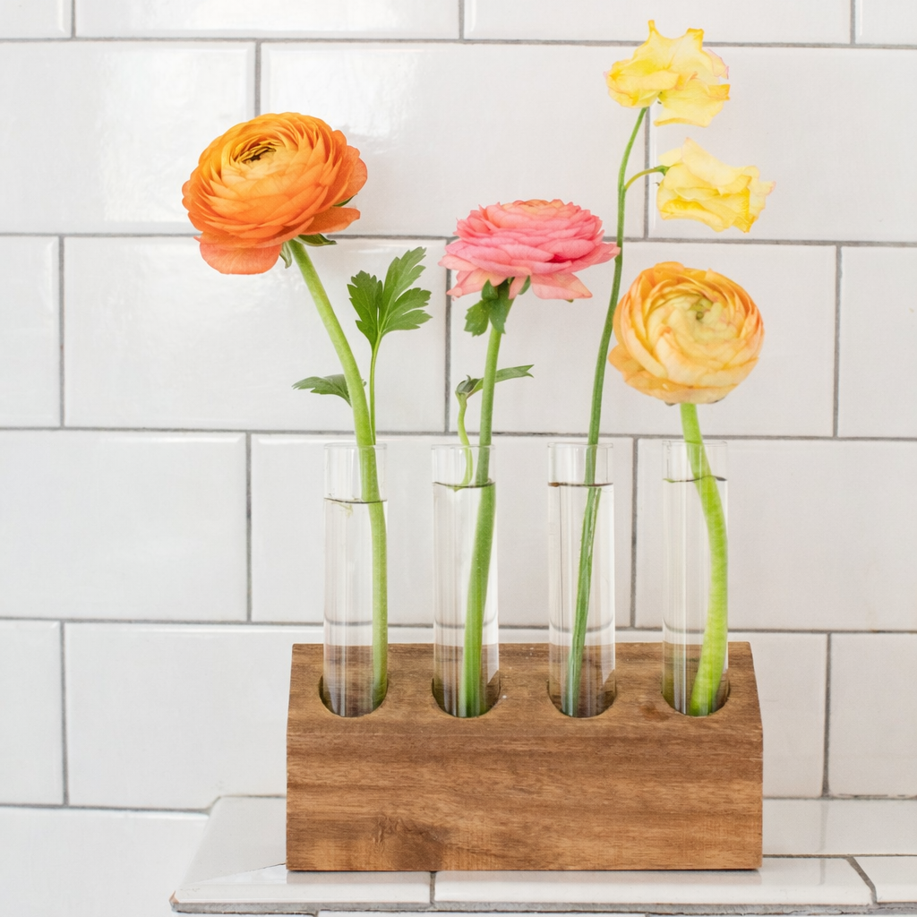 6" Bud Vase Kit With Wood Base