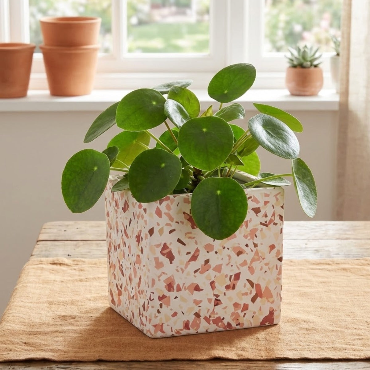 Square Planter - Terrazzo Spice