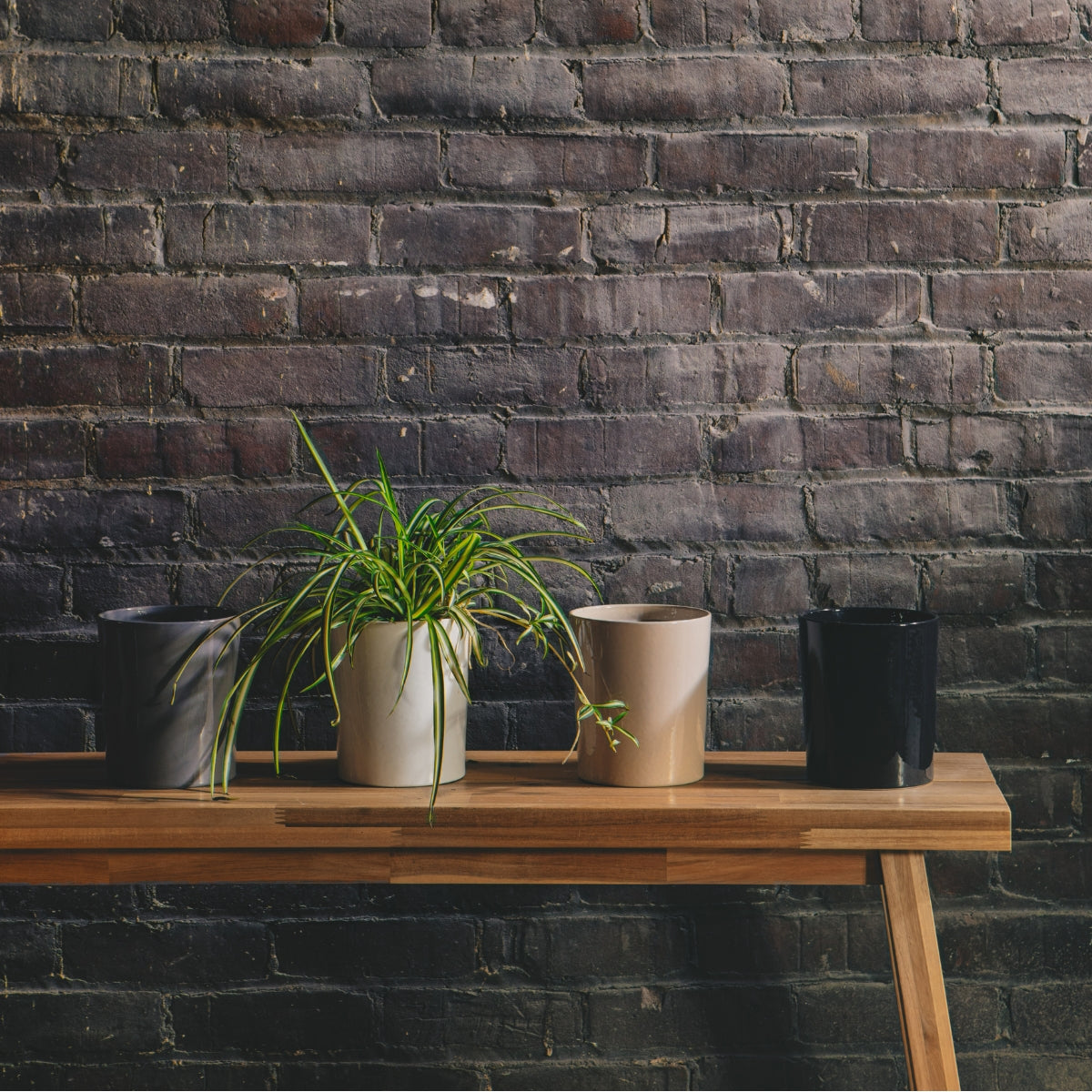 Winchester Planter | Tennessee Clay