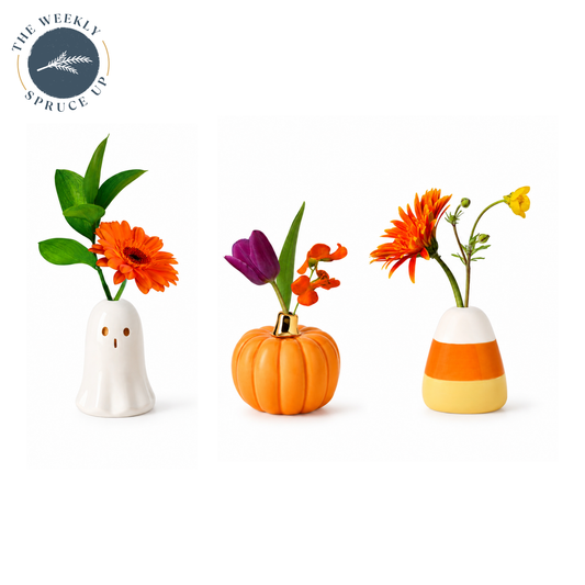 BestBuds Mini Fall Trio