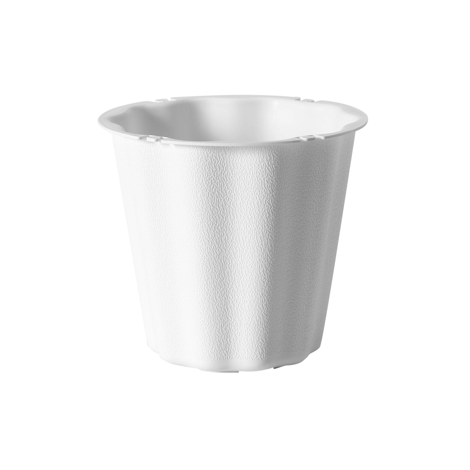 Versatile Container - Case of 24 – 46 & Spruce | Wholesale Supply House