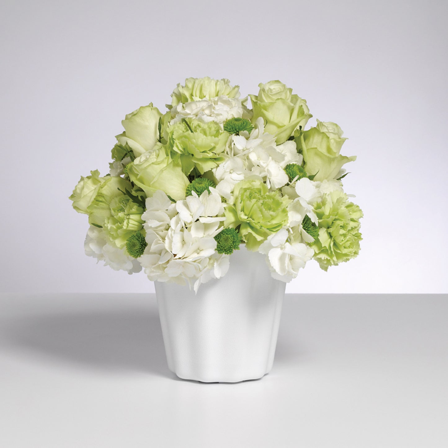 Versatile Container - Case of 24