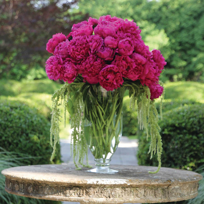 A bouquet of bright pink peonies in a clear 13' Mia glass vase, with delicate green hanging amaranthus, on a stone table in a garden setting."