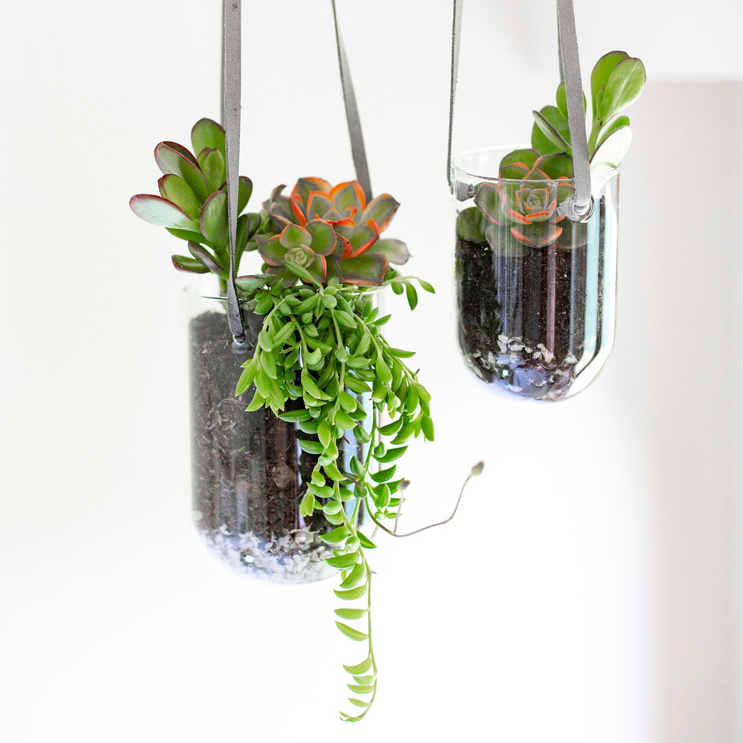 hanging plant containers indoor SSI Ssi37630609 6 in. Capsule Hanging Planter