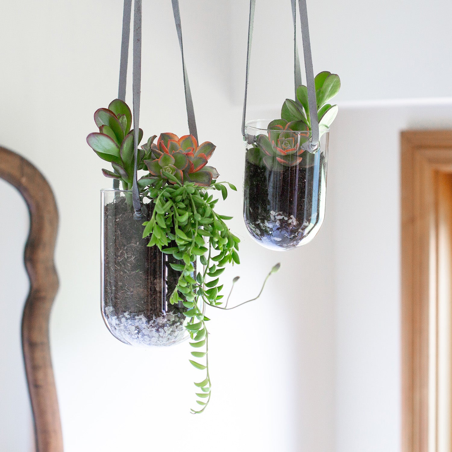 capsule terrarium hanging with soil, rocks, and succulents.
