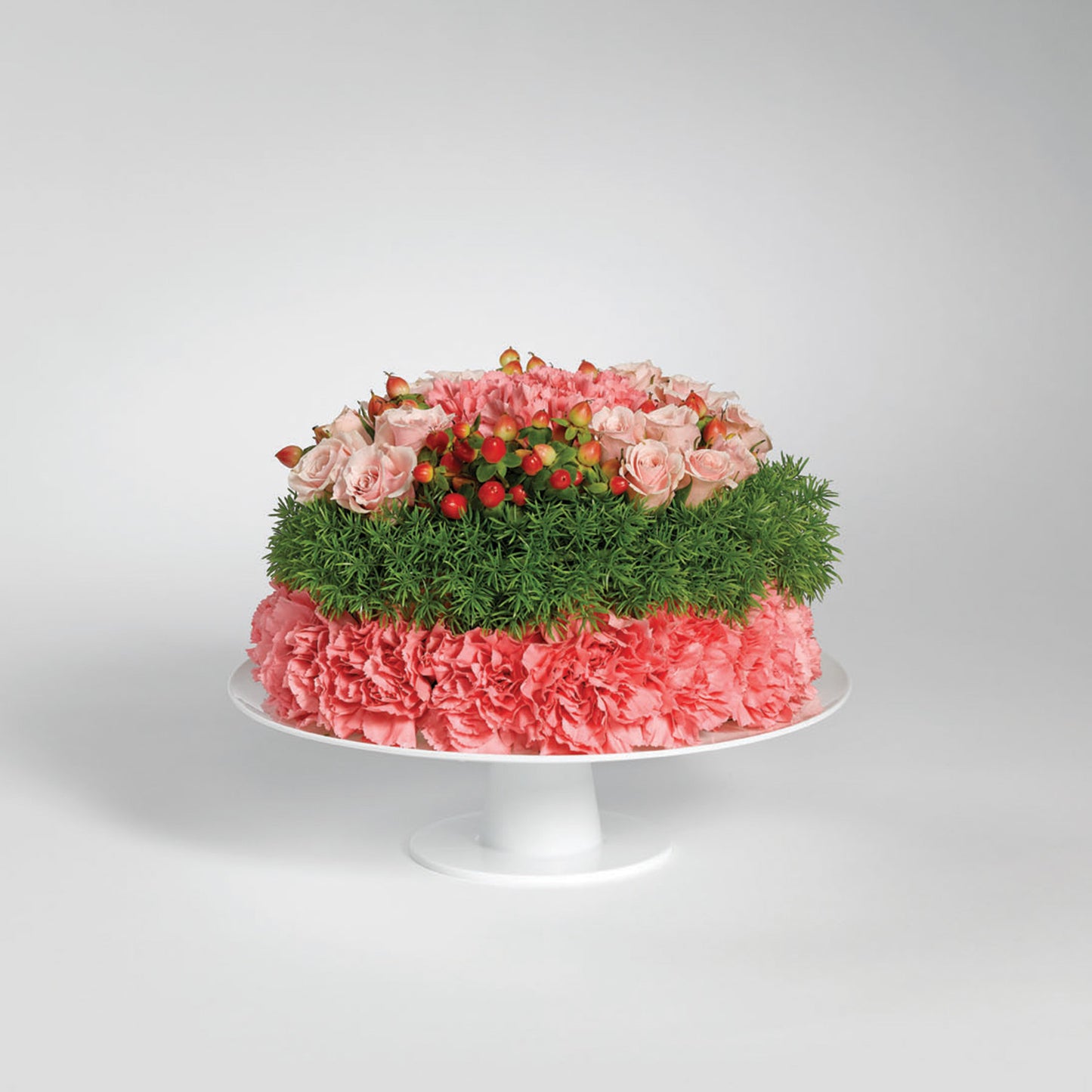 Aquafoam Cake Kit