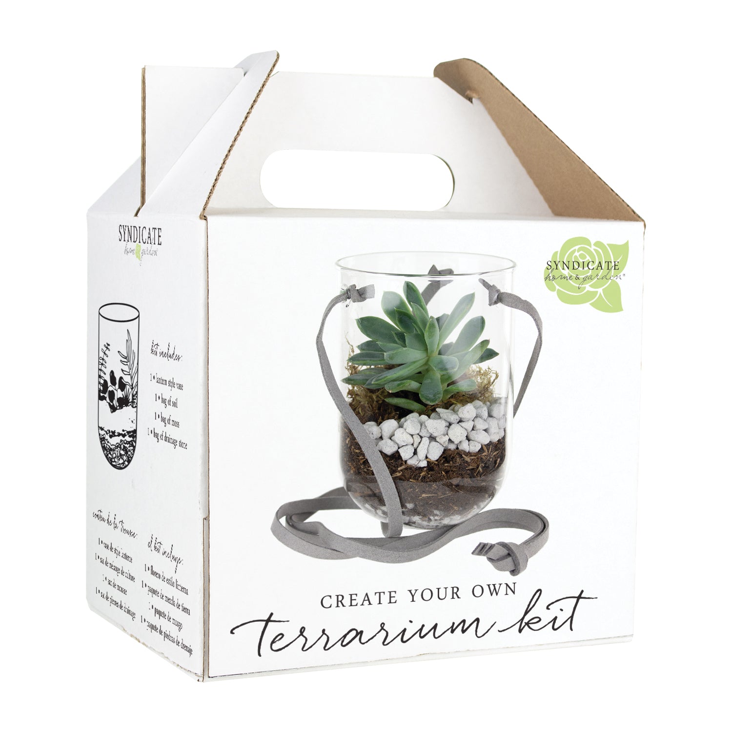 Create your own terrarium kit. Comes with a a capsule hanging terrarium, soil, rocks, and filler.