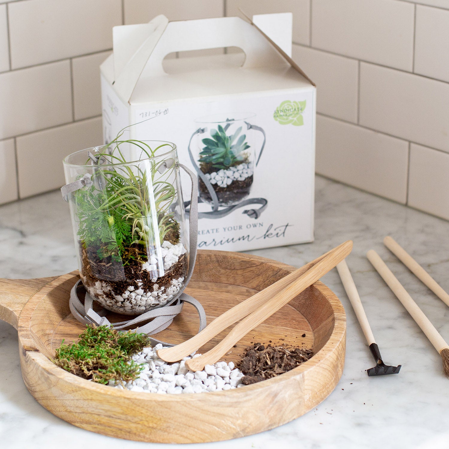 The image shows a completed terrarium inside a clear glass vessel with gray handles, set on a round wooden tray with compartments containing different terrarium materials such as soil and white pebbles. Wooden tools for terrarium assembly—a rake, shovel, and trowel—are also laid out on the tray. In the background, there's a white box with an image and text indicating "Create Your Own Terrarium Kit," against a kitchen backdrop with white subway tiles.
