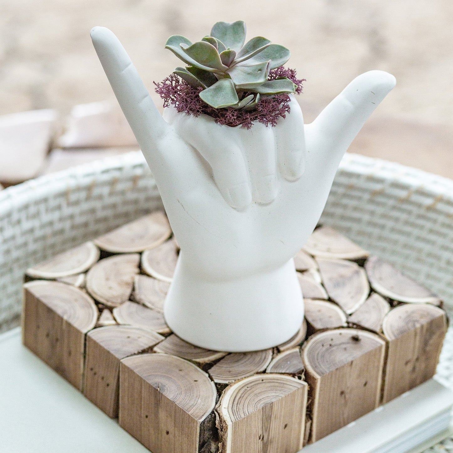 Hang Loose Planter