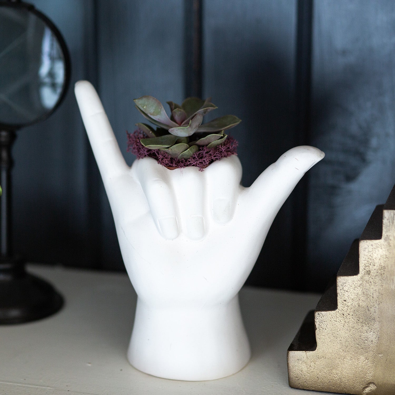 hang loose planter Hang Loose Planter