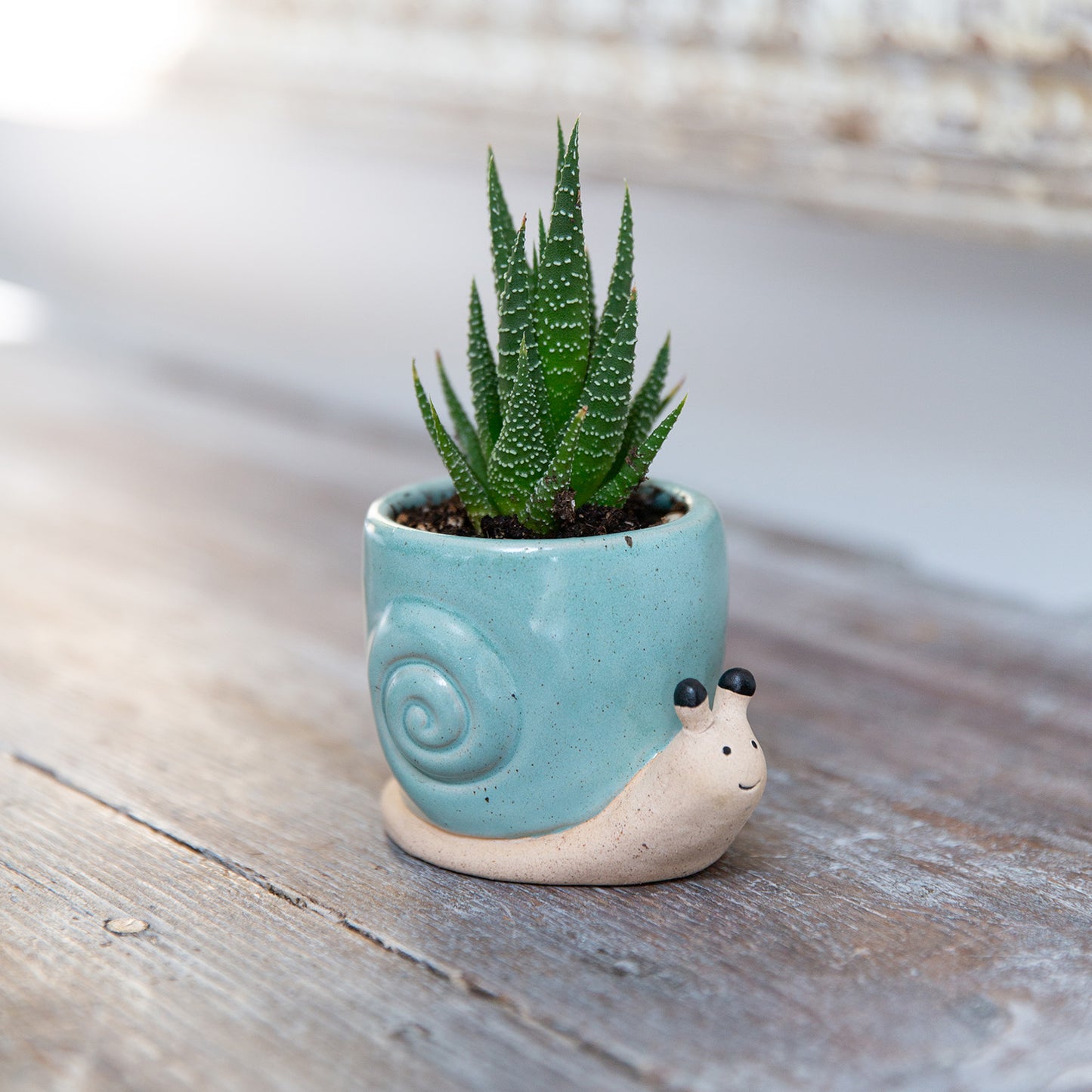 Ceramic Animal Planter Assortment - Case of 12
