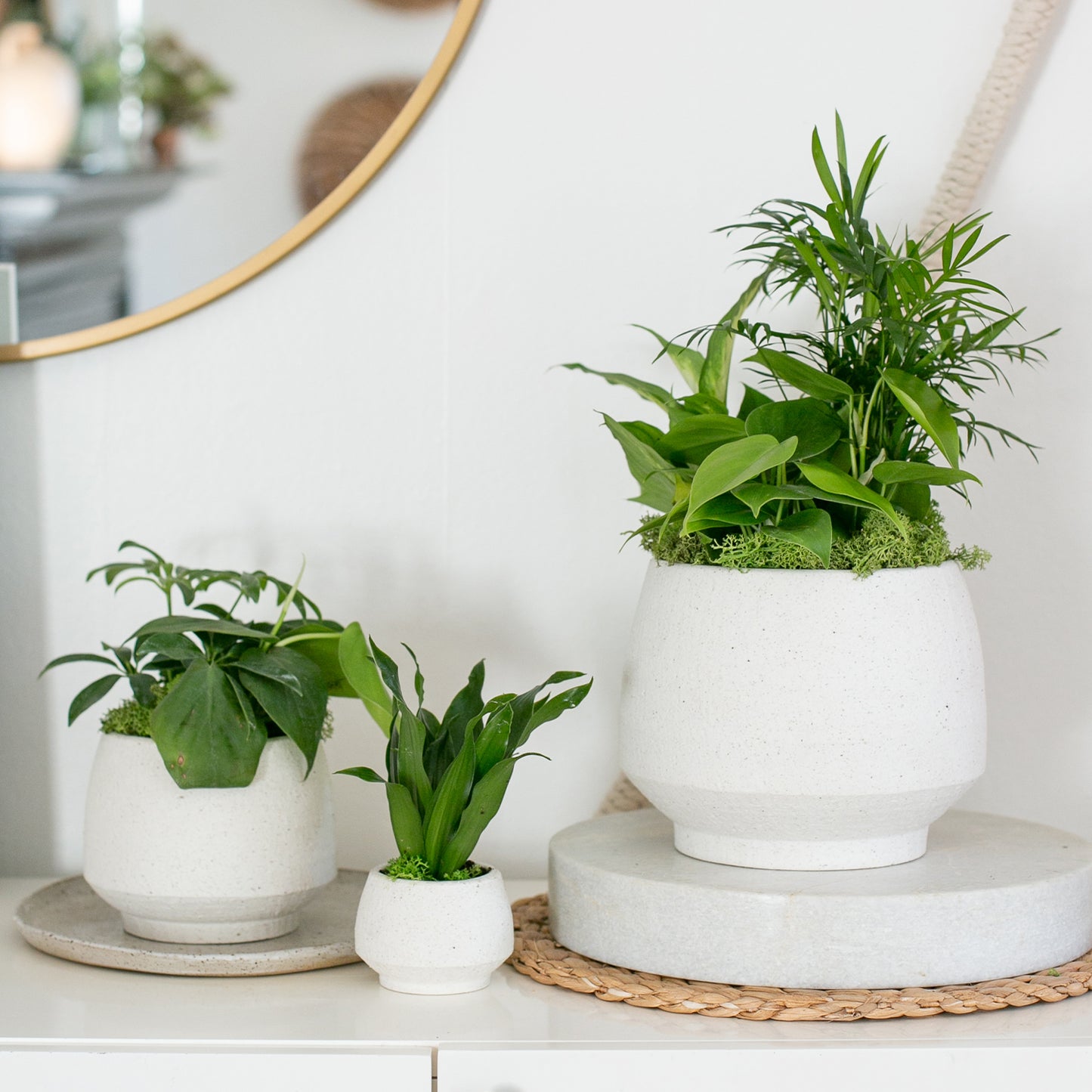 Tapered Stoneware Pot