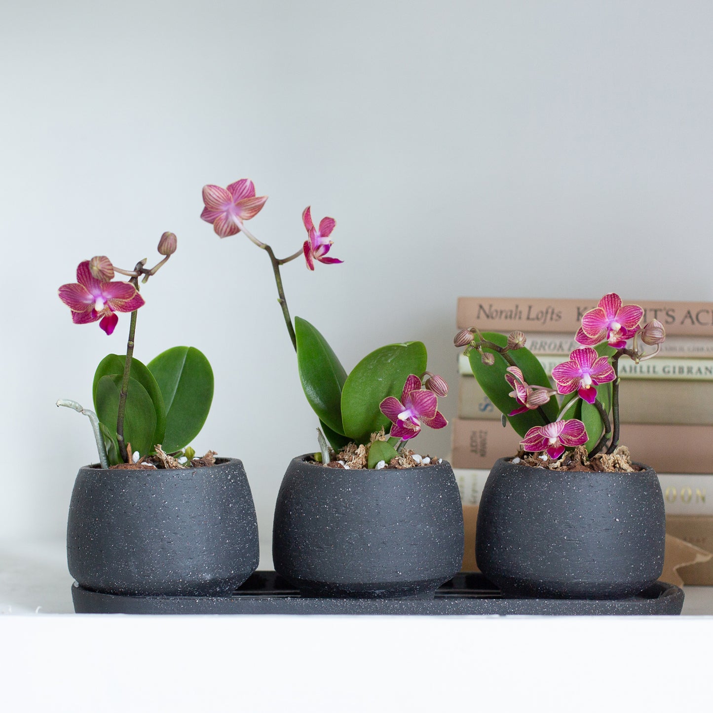 Tapered Stoneware Pot
