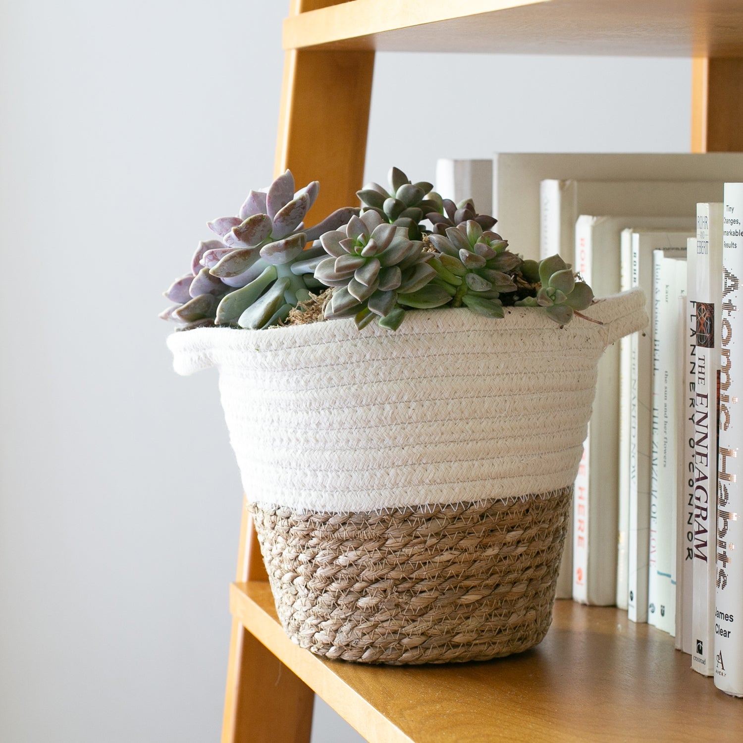 woven plant basket Cable Basket in Oatmeal 8.5 in