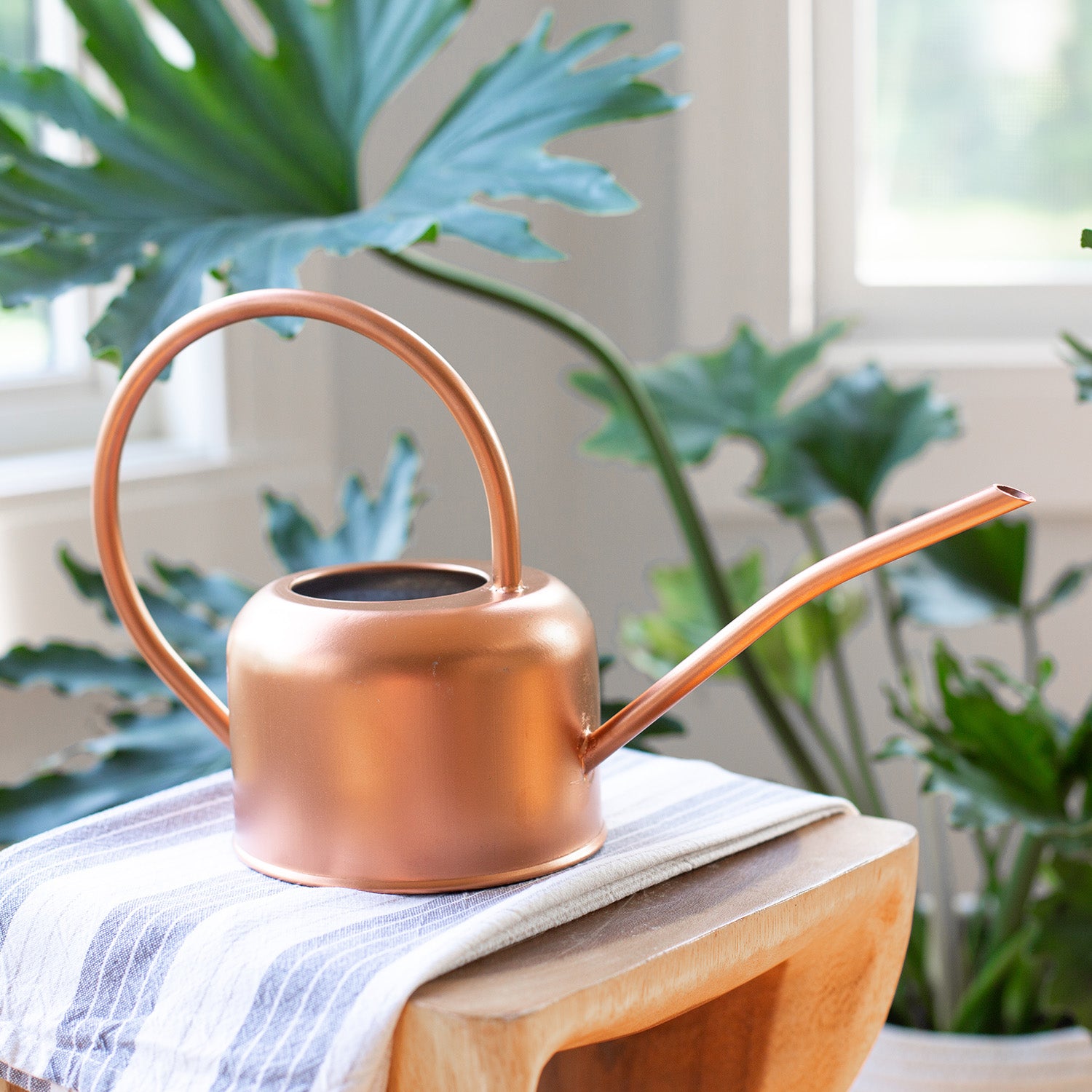 small copper watering can for indoor plants Loop Watering Can