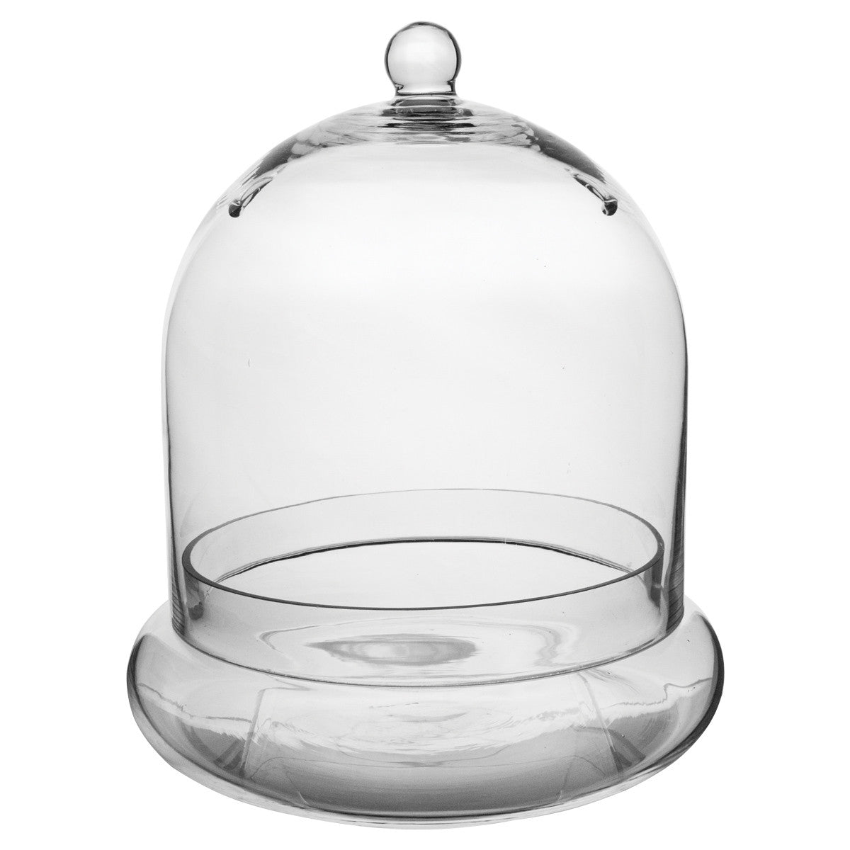 large cloche terrarium empty