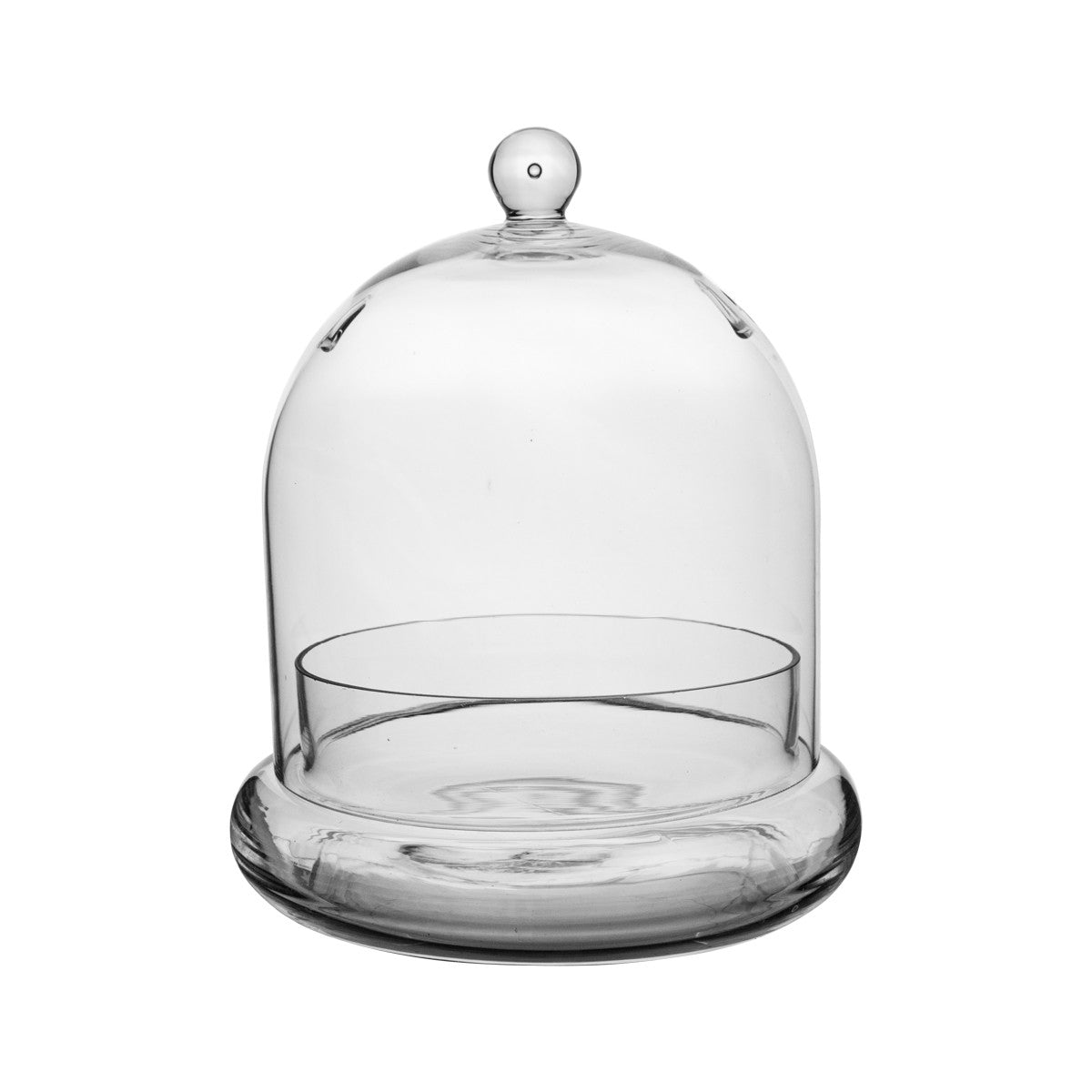 medium cloche terrarium empty
