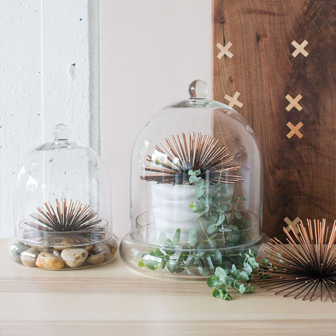Wholesale glass cloche terrariums