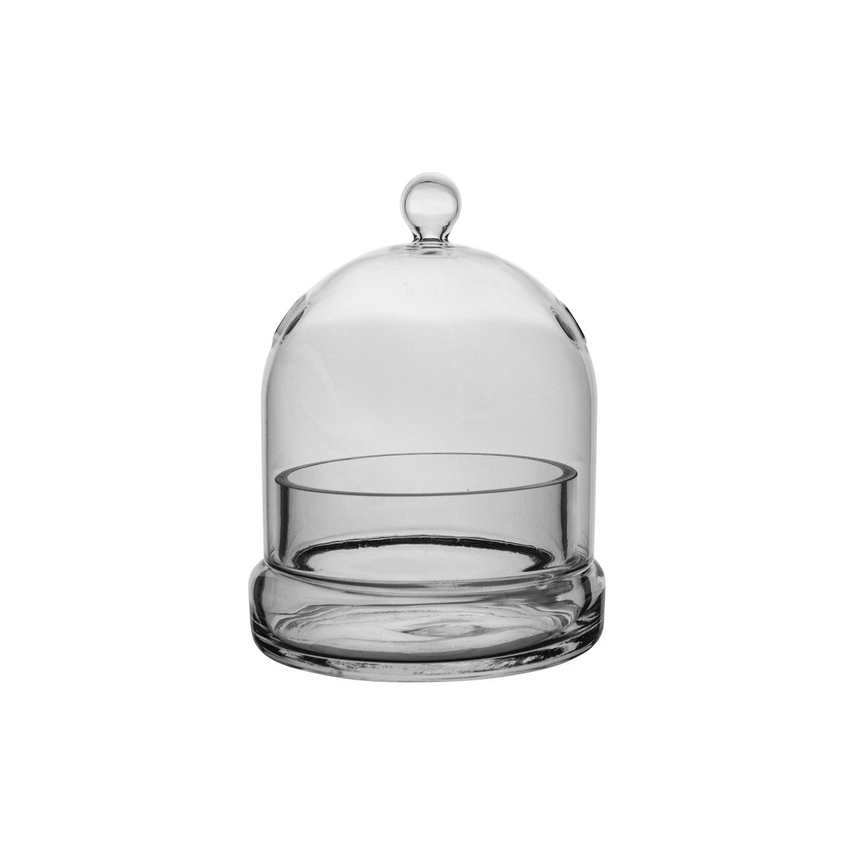 small cloche terrarium empty