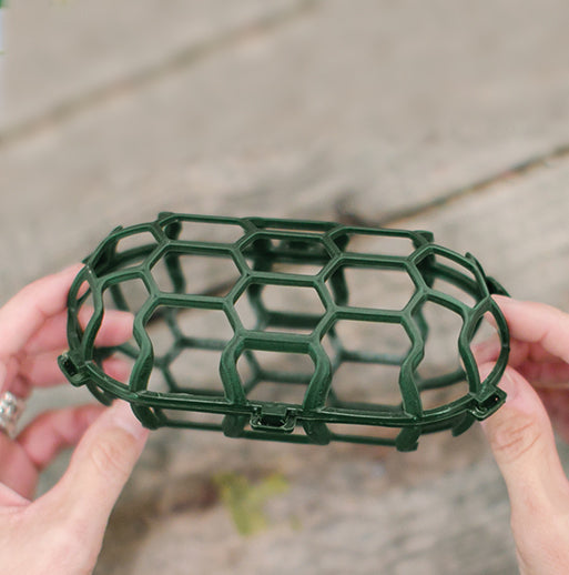 Holly Chapple Egg mechanism
