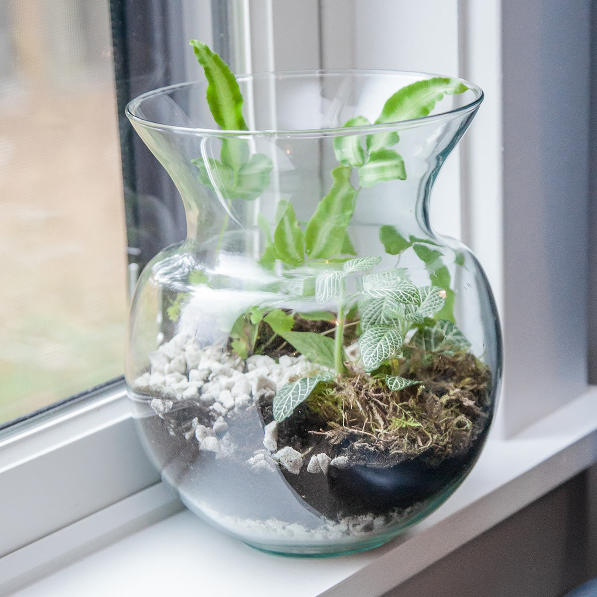 small peony vase used as a terrarium sitting on a windowsill