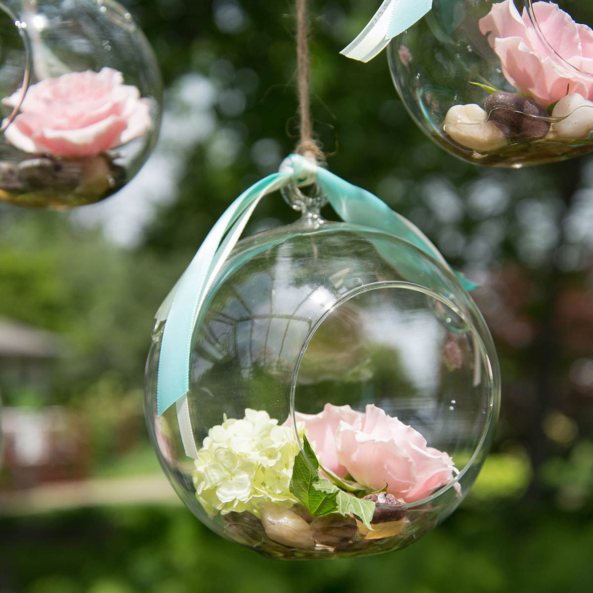 plants for hanging glass terrarium Syndicate Home & Garden Round Hanging Terrarium